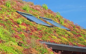 Little Canford living roof systems