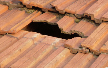 roof repair Little Canford, Dorset