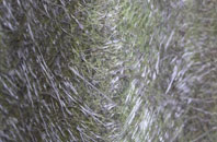 Little Canford fibreglass roof work